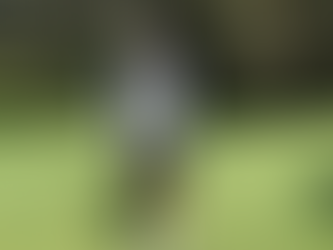 Tuross Head Ladies Golf Results