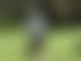 Tuross Head Ladies Golf Results