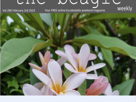 Beagle Weekender of February 3rd 2023 OUT NOW