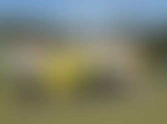 Flag Unfurling Ceremony for Triumphant Pennant 4 Players