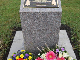 ANZAC Memorial unveiled at Dalmeny