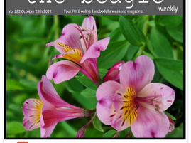 Beagle Weekender of October 28th 2022 OUT NOW