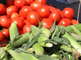 EOIs open for activities on Council-controlled land