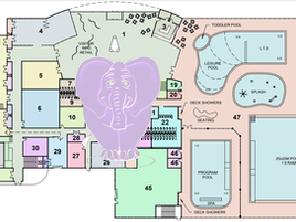 The elephant in the room also has a long memory