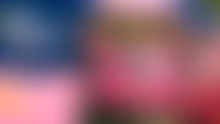 2023 Mother's Day Classic