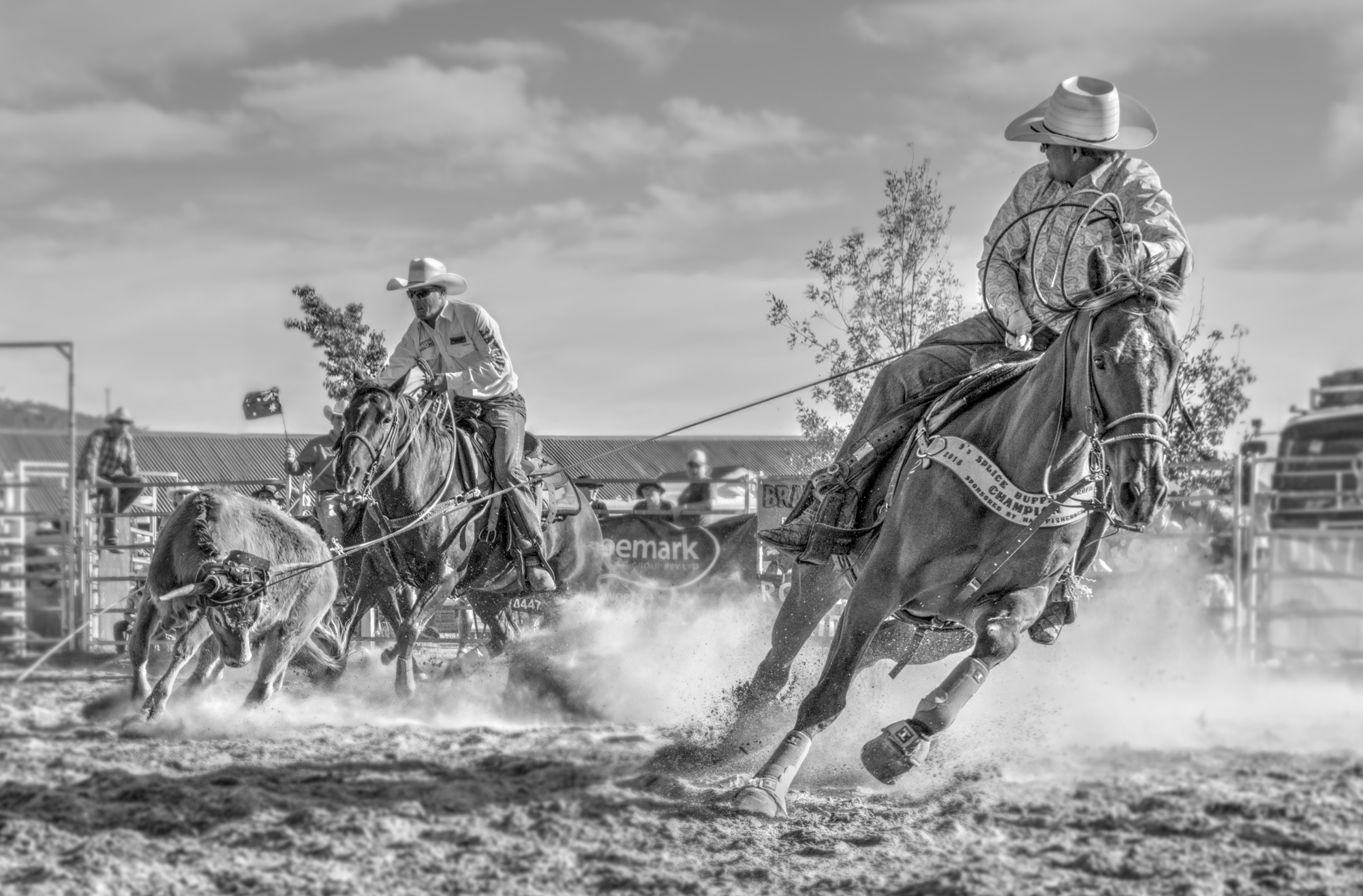 Team Roping