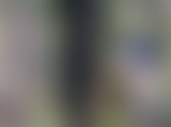 Hope For East Lynne Koalas