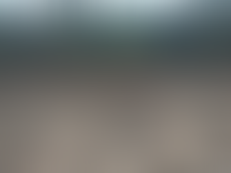 Greater Gliders found in heart of logging operation at Mogo State Forest