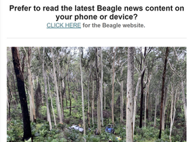 The latest edition of the Beagle midweek news is OUT NOW