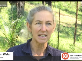 Bushfire-affected Eurobodalla residents struggle to manage 'relentless' weeds bolstered by downpours