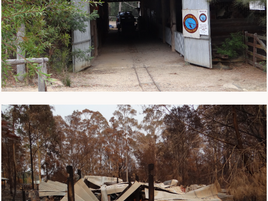 "Mogo Old Oilers" desperately need your help