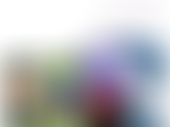 Have your say on Council activities and budgets