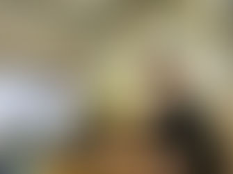 New Council traineeships to spark interest in future career