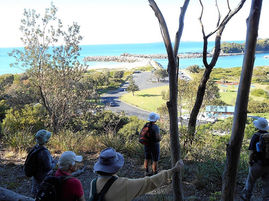 Dalmeny Narooma Bushwalkers News