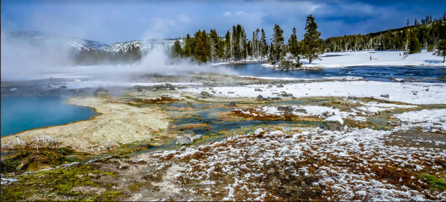 Yellowstone Winter Landscape