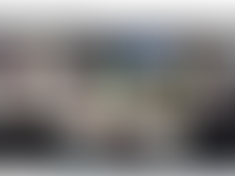 Mayor makes a show at today's Council meeting