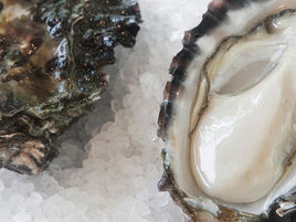 Ralston Bros launch pop-up oyster bar and cafe - BBay Marina
