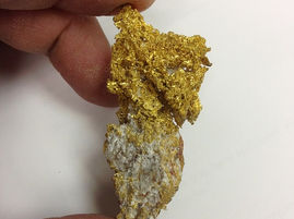 Gold Rush For Our Rich Region