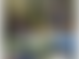 Batemans Bay Bushwalkers - Eurobodalla Regional Botanic Gardens