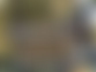 Open Day at Tilba Valley Wines Sep 1st