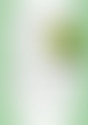 Batemans Bay Coffee Morning Group starts Mon Feb 13th