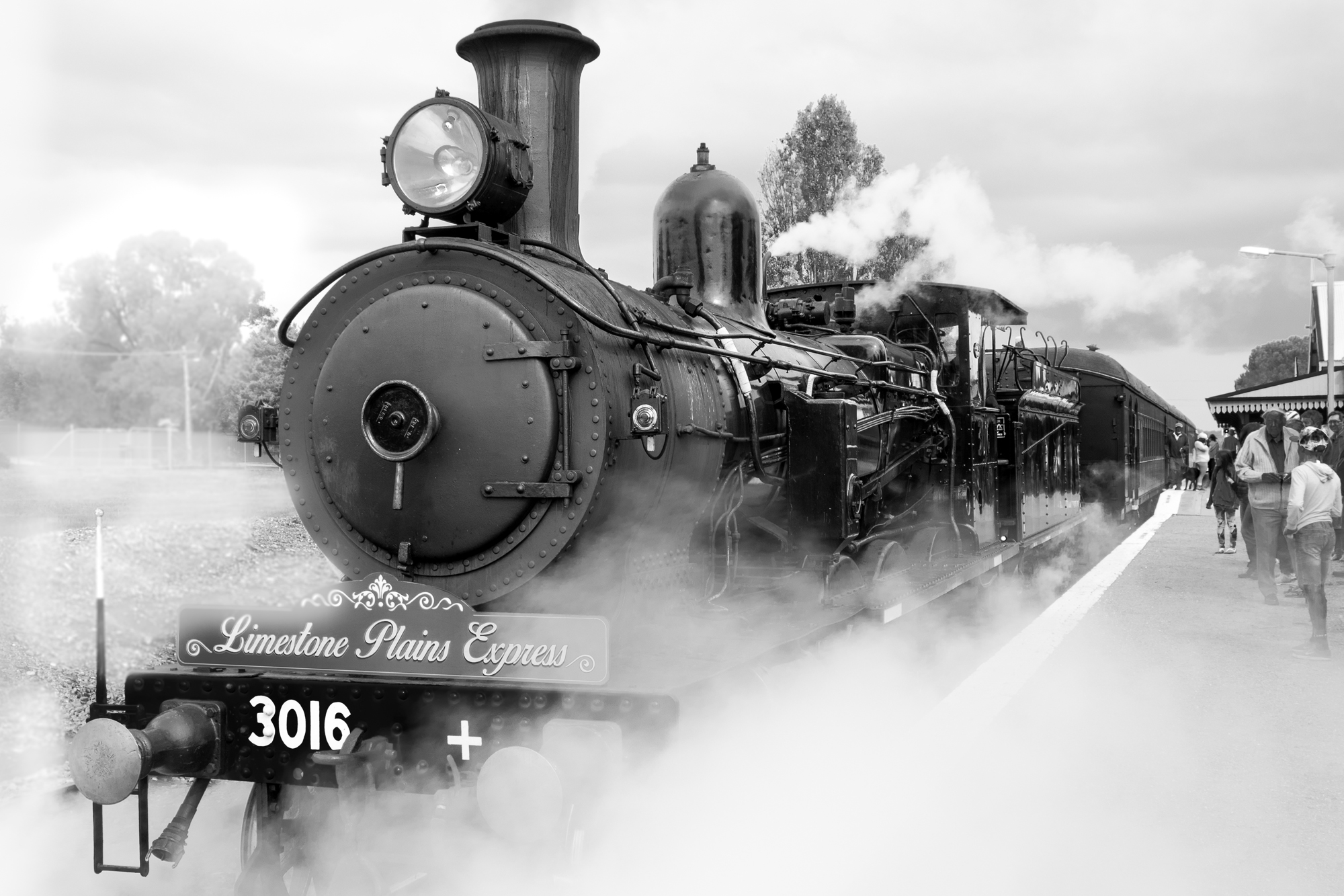 Limestone Plains Express