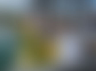 Narooma ducks line up for annual Australia Day Race