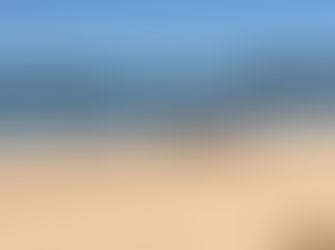 The University of Copenhagen ocean project at Durras