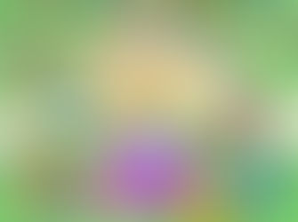 NelliJam lineup for Jan 12th announced