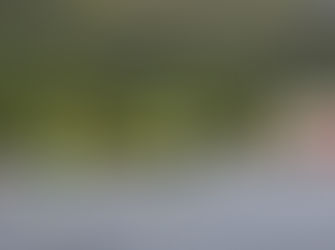 Accident on North Head Drive