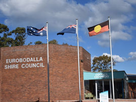 Councillors support flag petition