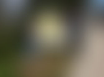 New Broulee town signs