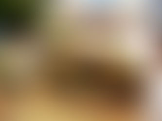 'kick in the guts' for some of the nation's lowest paid workers - Shorten