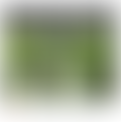 Beagle Weekender of February 10th 2023 OUT NOW