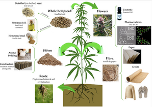 Editorial March 3rd 2023