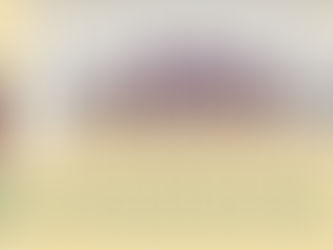 Cobargo Folk Festival needs volunteers.