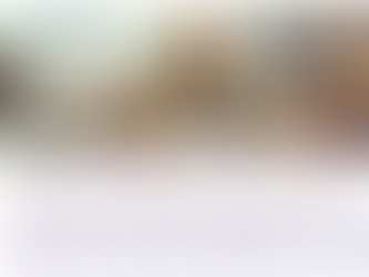 International Women's Day luncheon with Linda Burney - March 8th