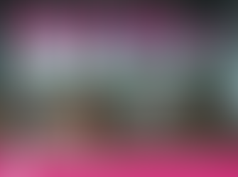 Four Winds welcomes the Australian String Quartet to the Windsong Pavilion on 25 November.