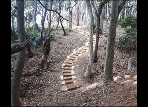 A step up for Maloneys Beach