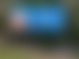 Eurobodalla tourism review in the sights of Mayoral Candidates