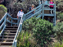 Dalmeny Narooma Bushwalkers
