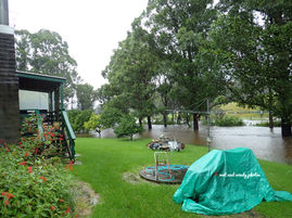 Mogo recovery being fast tracked