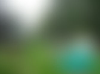 Mogo recovery being fast tracked