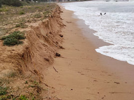 Open Coast: Coastal Management Program pinpoints community’s coastal concerns