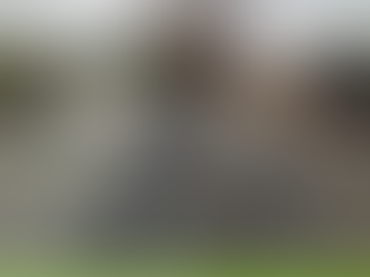 Bodalla pedestrian refuge being investigated