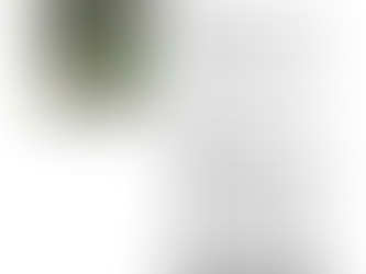 Public Hearing to sell 3 prime Council reserves to raise revenue sighting "surplus to need"