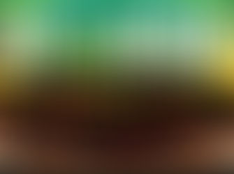 'OUT of the ASHES' : Rod Hayes