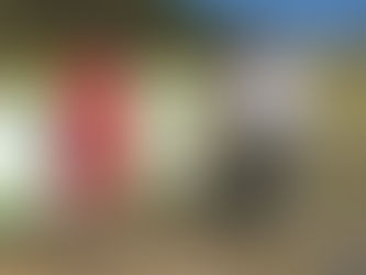 $2.271 Million To Drive Tourism In The Bega Valley