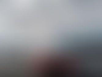 Coila sailing is back