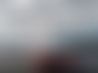 Coila sailing is back